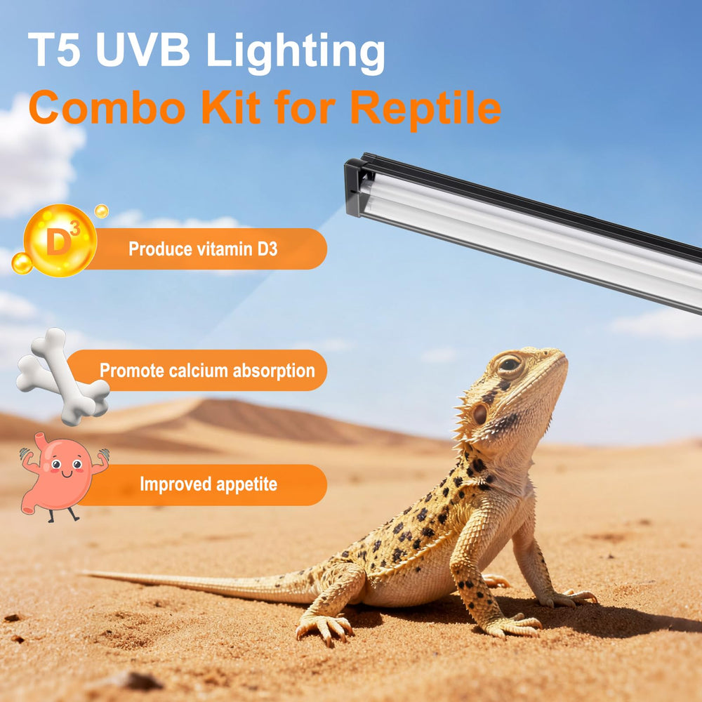 GREENPAW T5 UVB light basking scene promotes healthy reptile basking and activity.