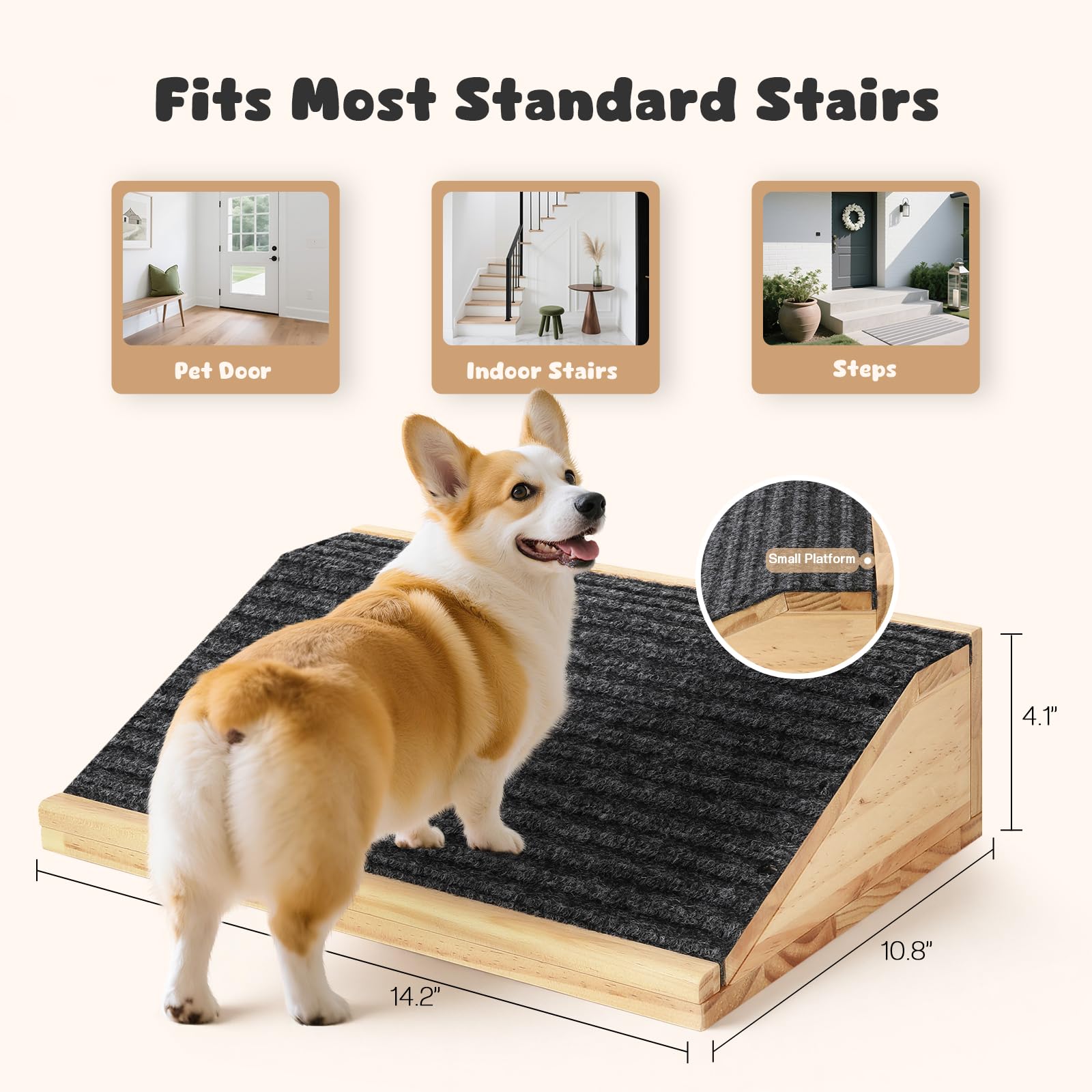 GreenPetopia anti-slip carpet ramp provides secure footing for small dogs.