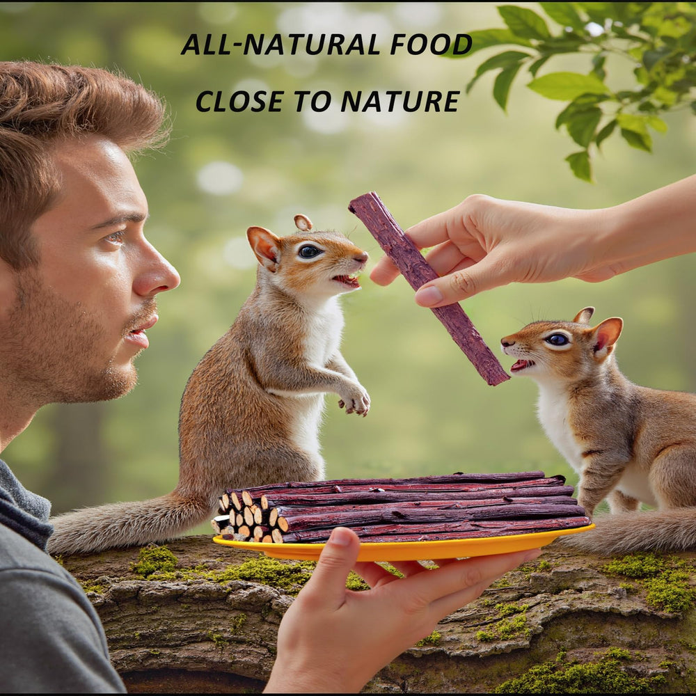 GREMBEB Bunny Chew Stick alfalfa stick close-up offers nutritious snacking and teeth wear