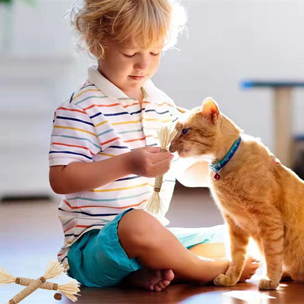 GREMBEB catnip toy collection showcasing engaging toys for stress relief and curiosity