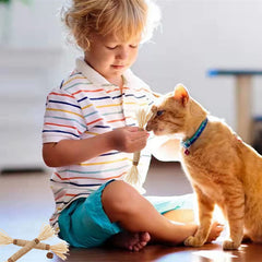 GREMBEB catnip toy collection showcasing engaging toys for stress relief and curiosity