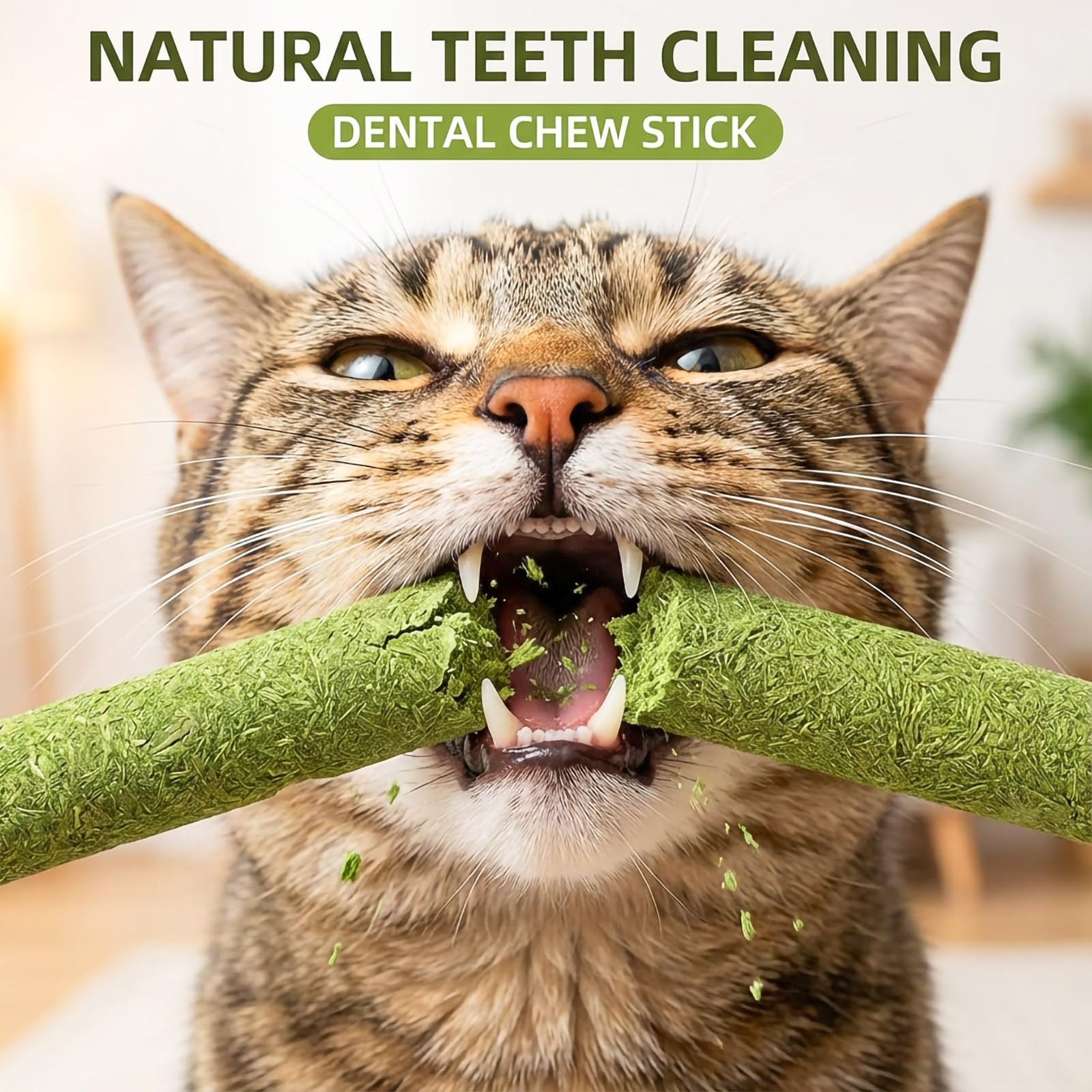 GREMBEB freeze-dried cat grass treats preserve flavor and support hairball-friendly texture.