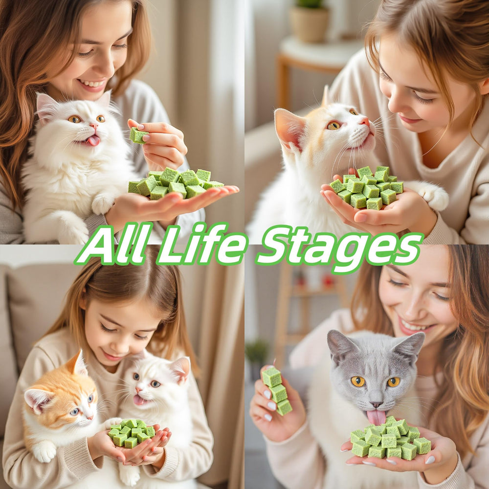 GREMBEB indoor cat hairball diet support in a tempting bite