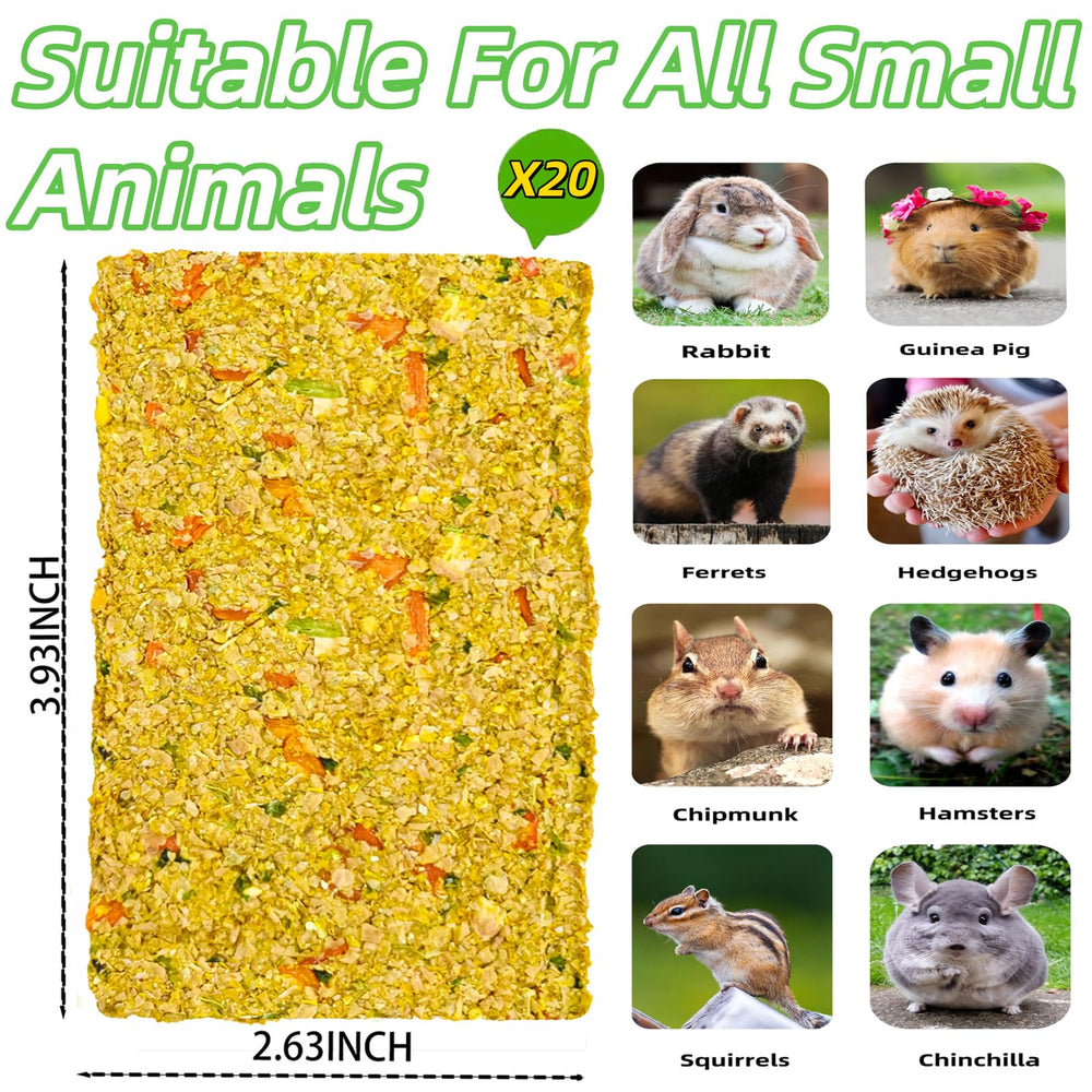 GREMBEB indoor pet play enrichment demonstrates safe indoor activity for small animals.