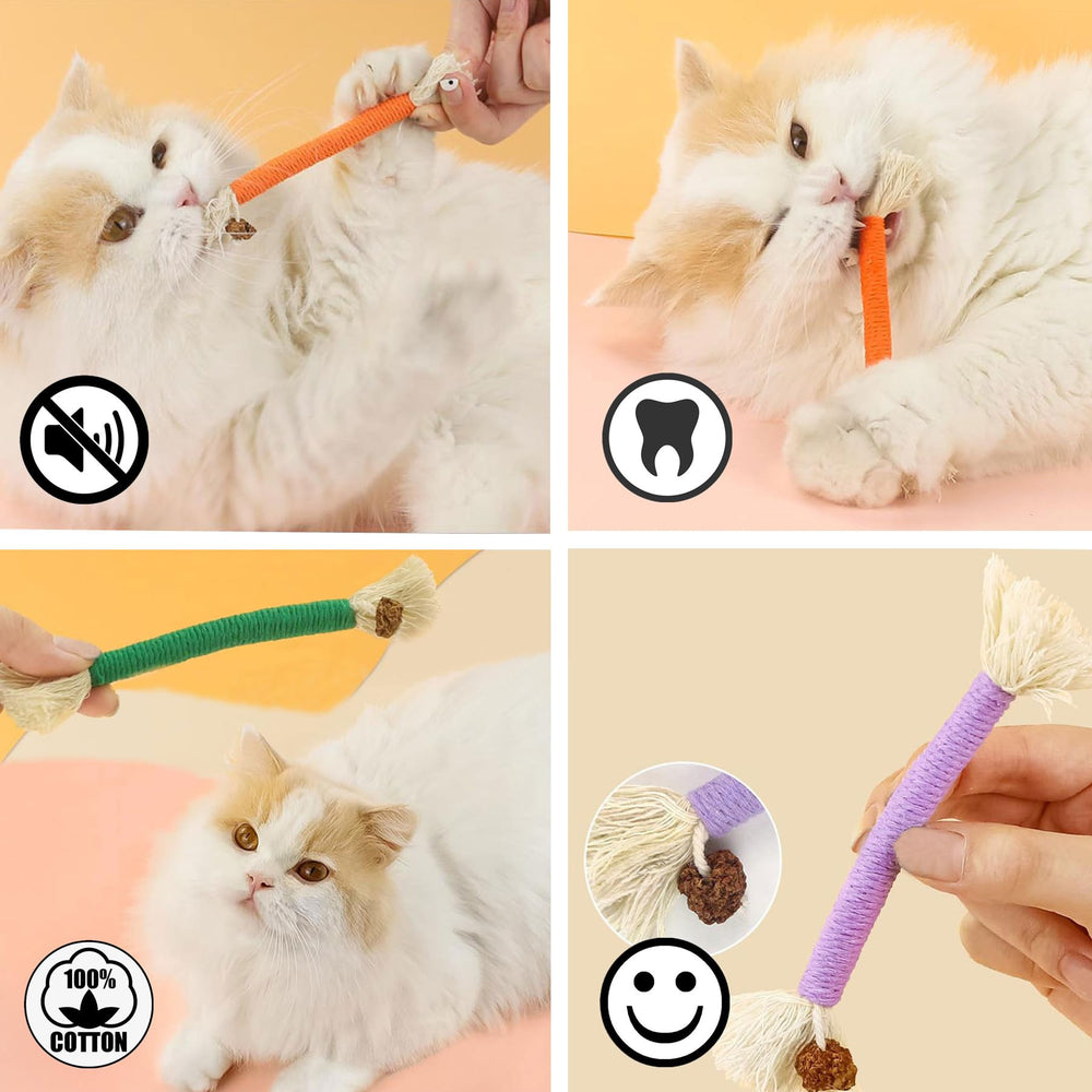 GREMBEB indoor play scene shows calming activities and boredom relief for cats