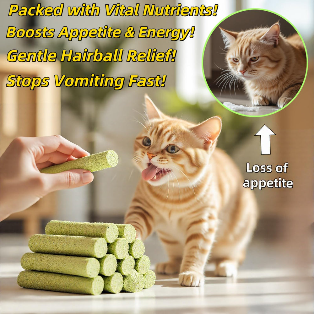 GREMBEB kitten toy with catnip invites playful interaction and relaxed mood.
