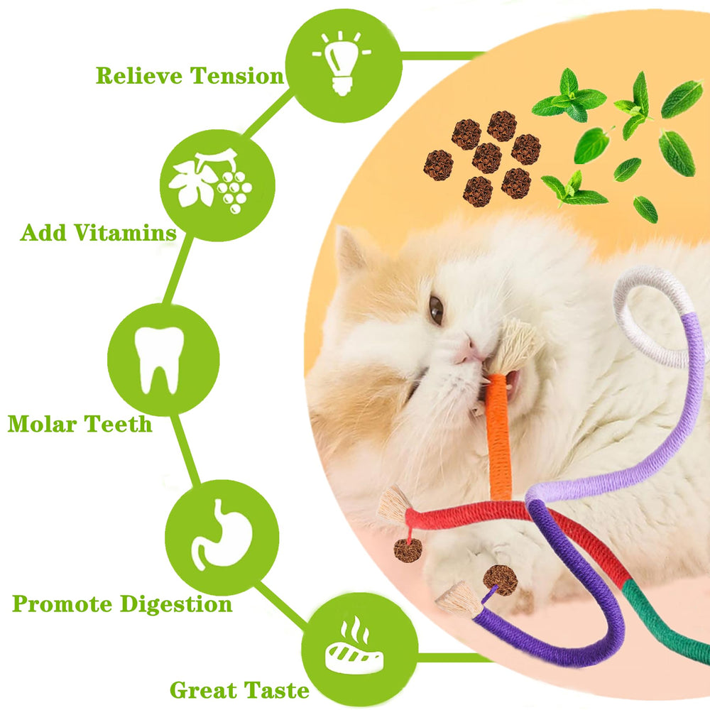 GREMBEB silvervine actinidia coating stick for playful chewing