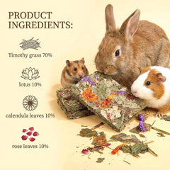 GREMBEB treats dental-chew focus shows gentle chewing for rodents.