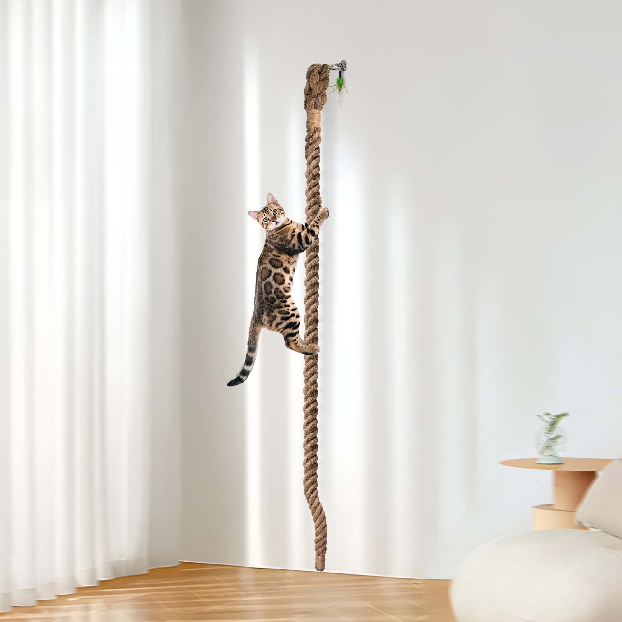 GRETJOB space-saving cat gym setup on wall or ceiling for apartments.