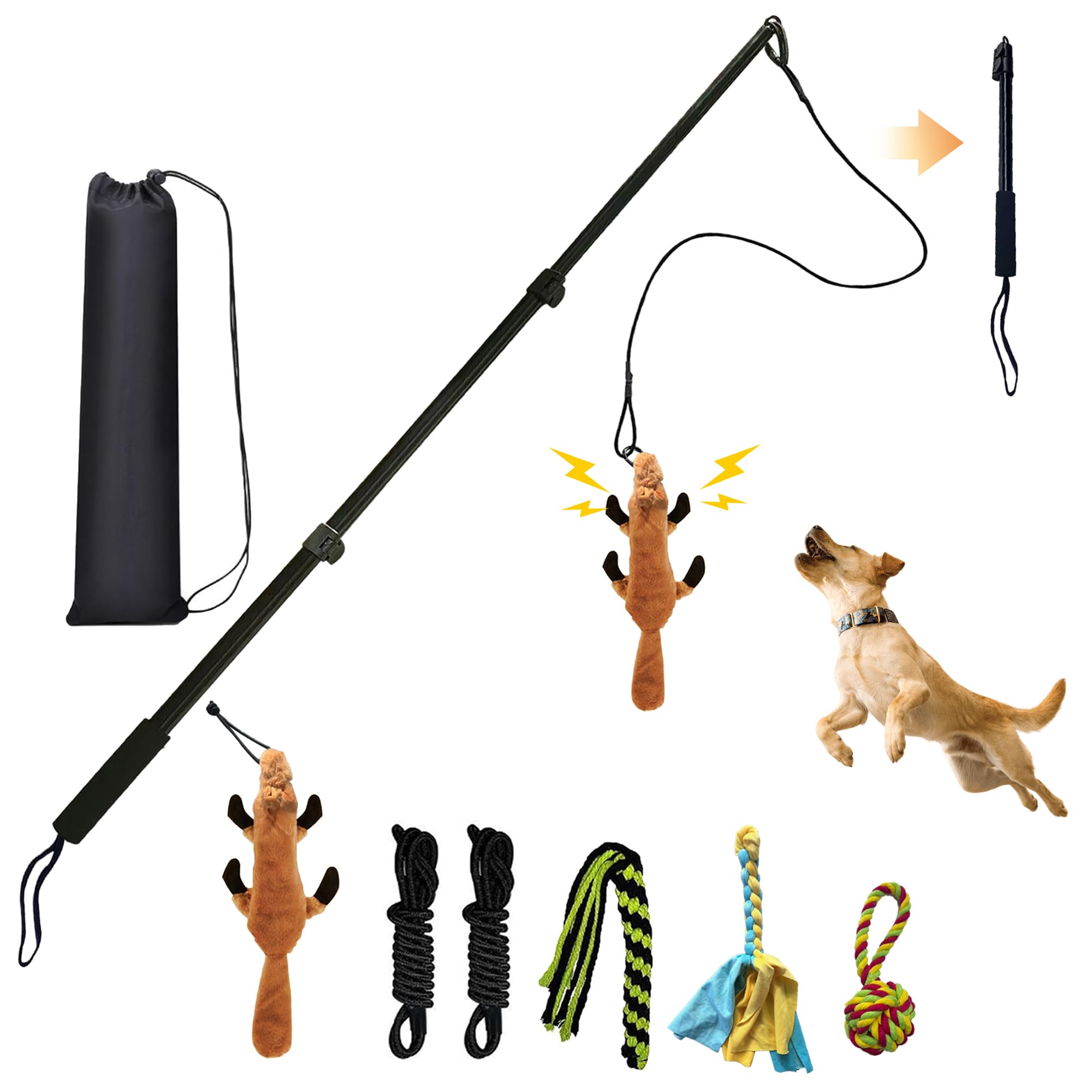 GRETMIX Flirt Pole setup demonstrates agility training with lure.