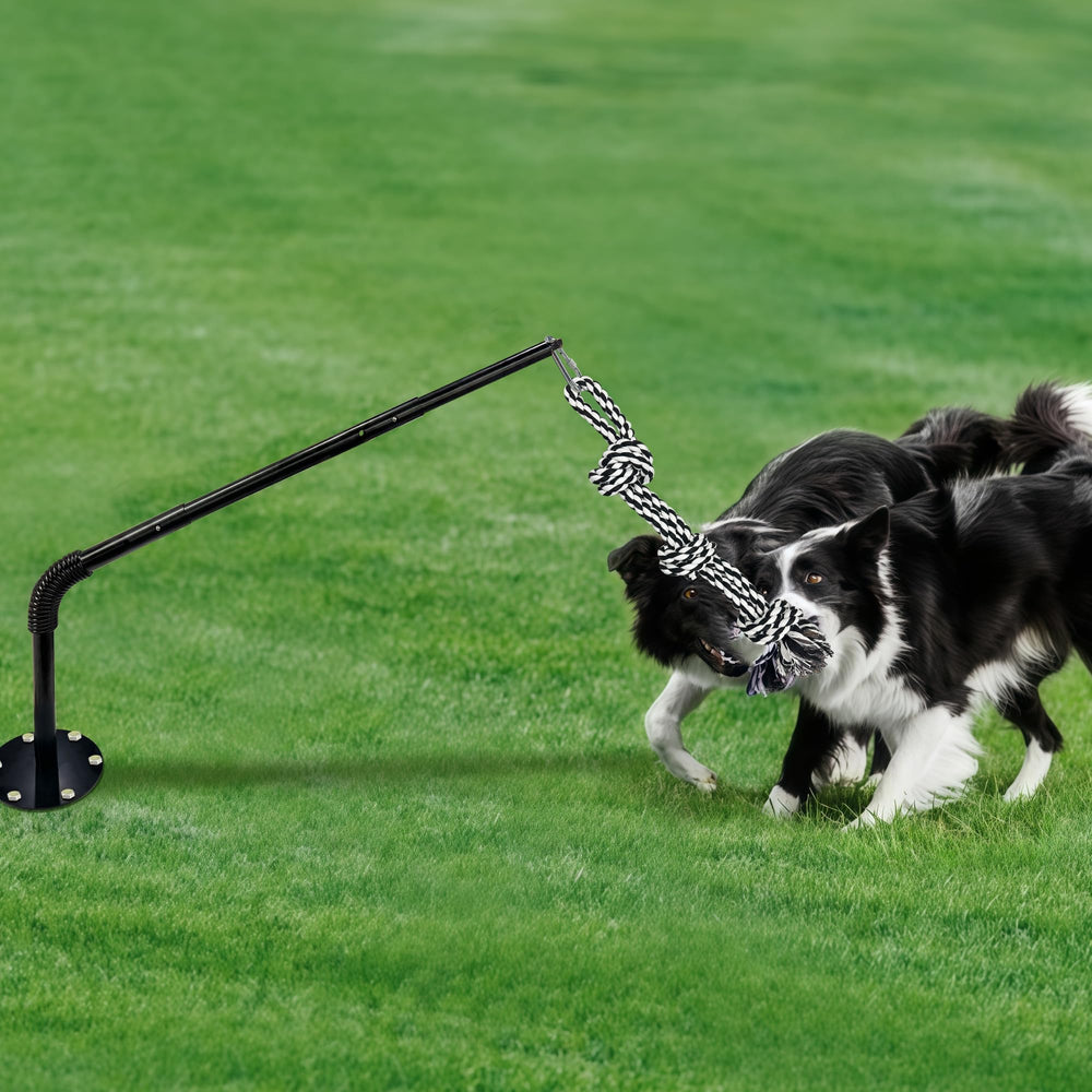 GRETMIX Tether Tug tug-of-war action with a dog in motion