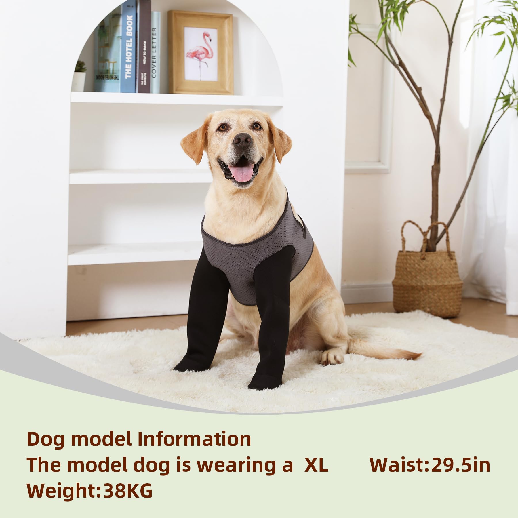 Grettytling dog recovery sleeve paw protector for delicate wounds