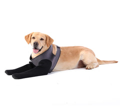Grettytling dog socks breathable design close-up showing dry, comfortable paws