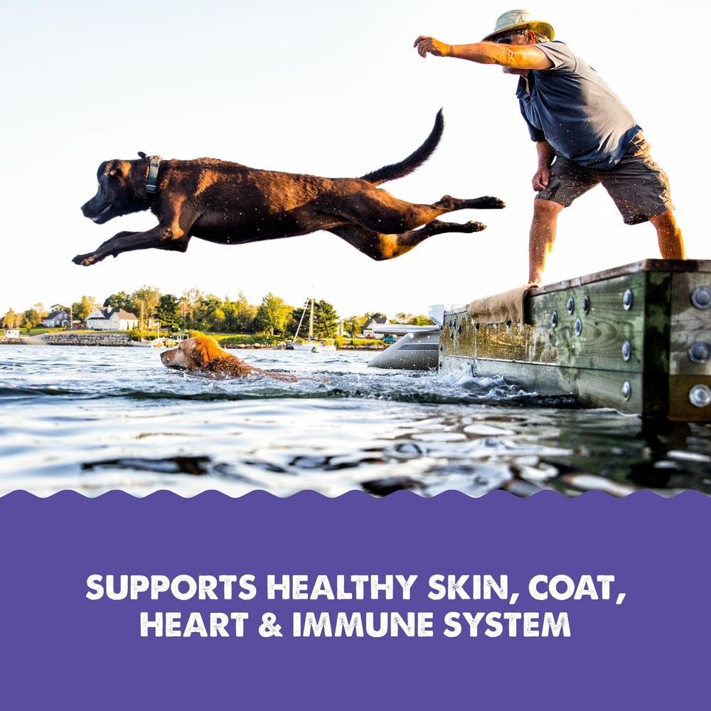 Grizzly Omega Health vision and cognitive support emphasis.