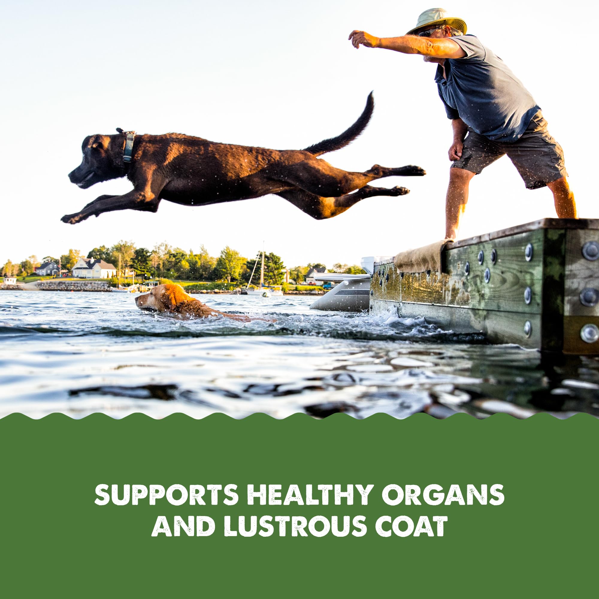 Grizzly Pet Algal Plus DHA benefits heart and nervous system support for pets