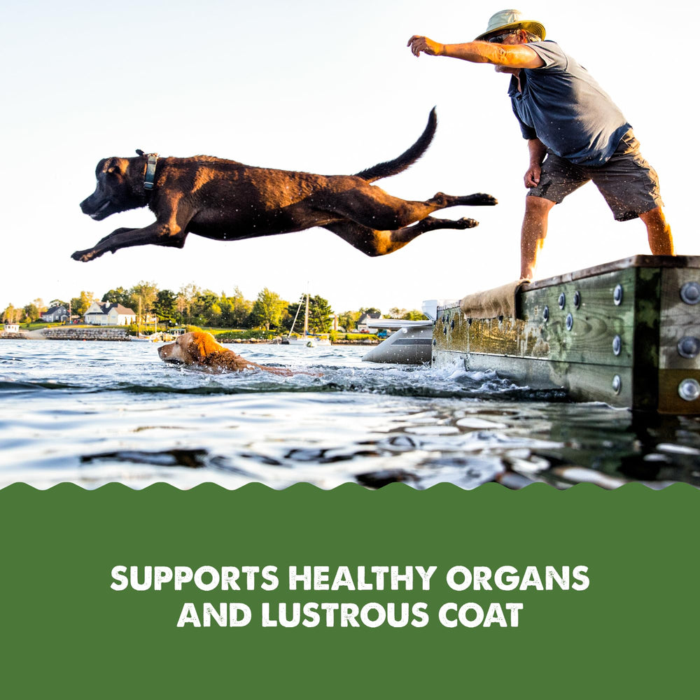 Grizzly Pet Algal Plus DHA benefits heart and nervous system support for pets