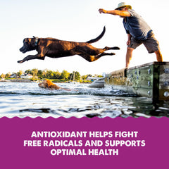 Grizzly Astaxanthin antioxidant-rich krill oil illustration