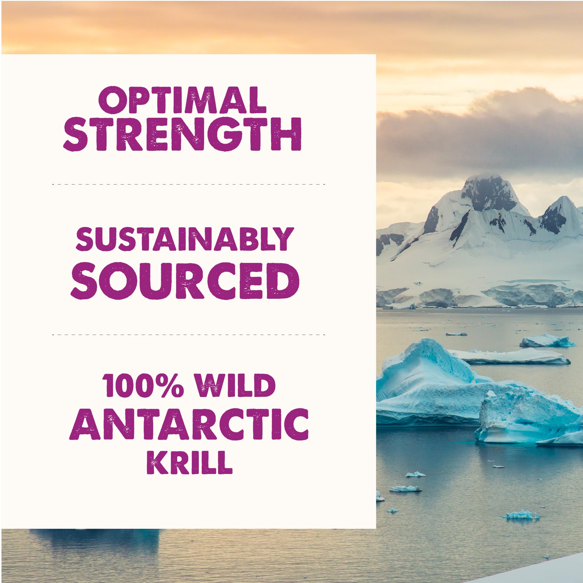Grizzly Krill Oil supports immune-friendly routine for dogs and cats