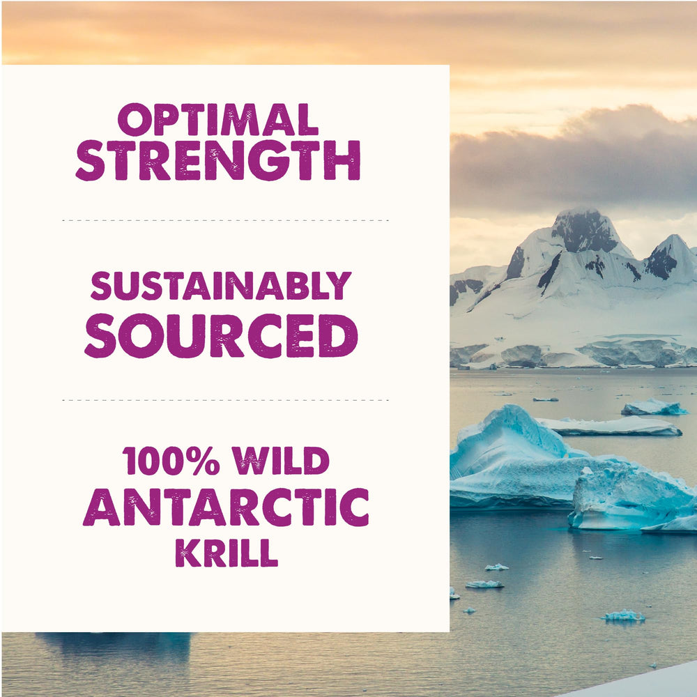 Grizzly Krill Oil supports immune-friendly routine for dogs and cats