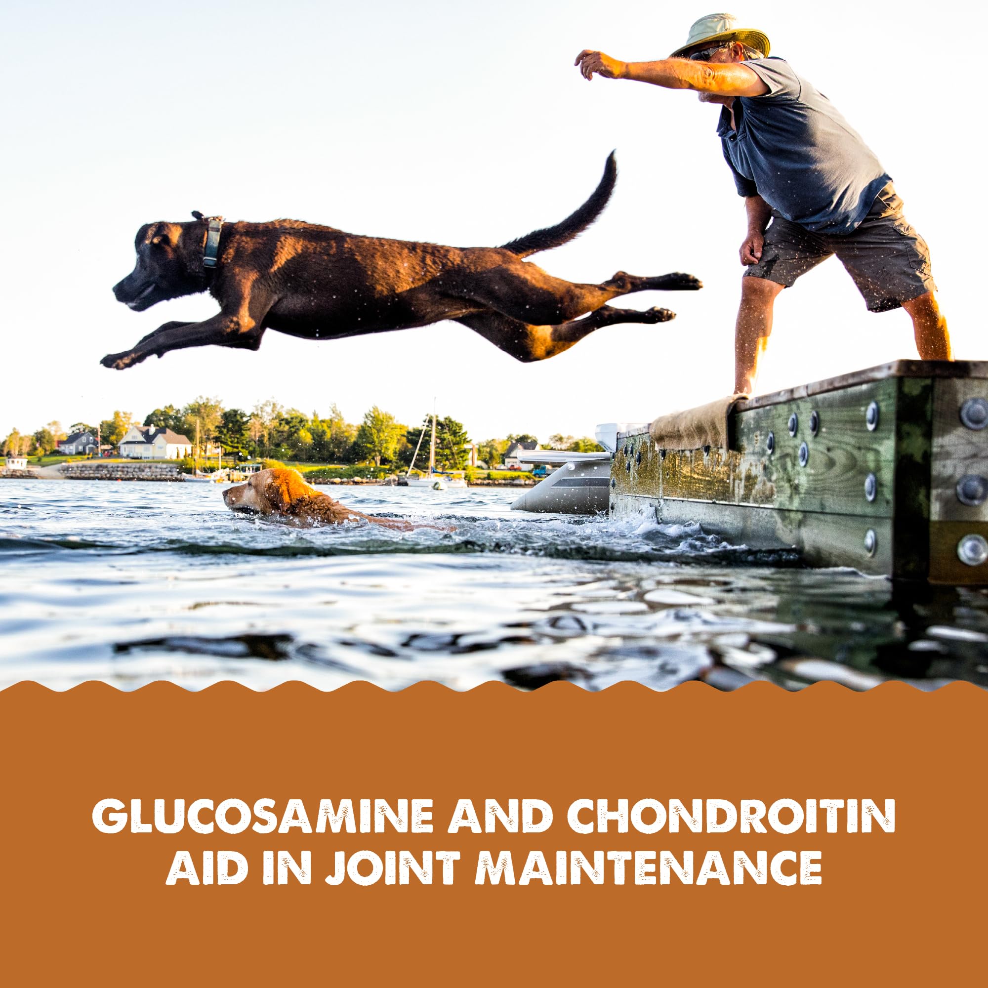 Grizzly Joint Aid glucosamine-chondroitin supports cartilage health with a five-ingredient blend.