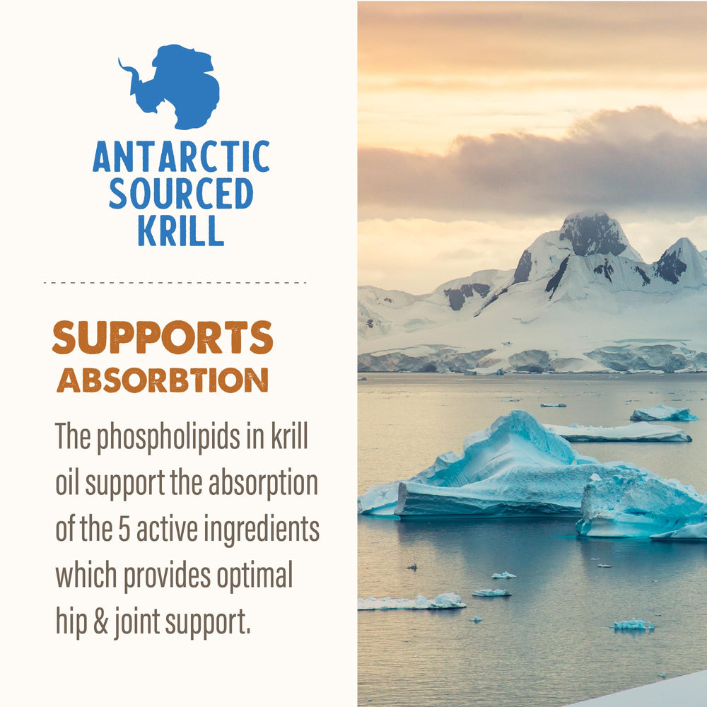 Grizzly Joint Aid Liquid label closeup highlighting five active ingredients and packaging
