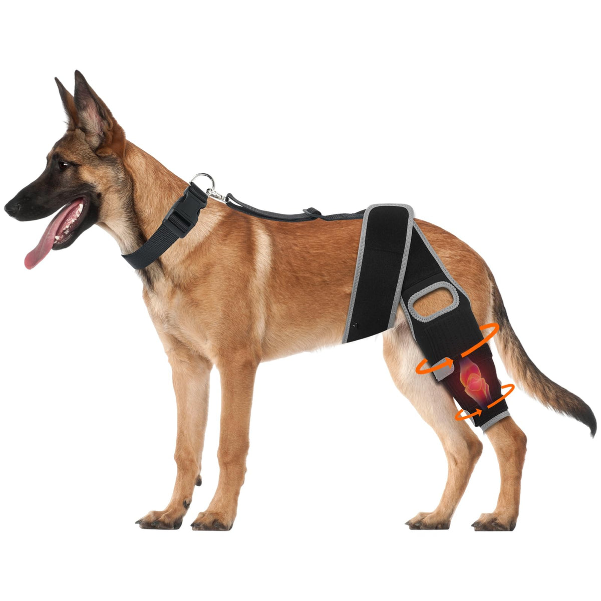 GRLEP dog knee brace front view demonstrates supportive design for ACL injuries and mobility