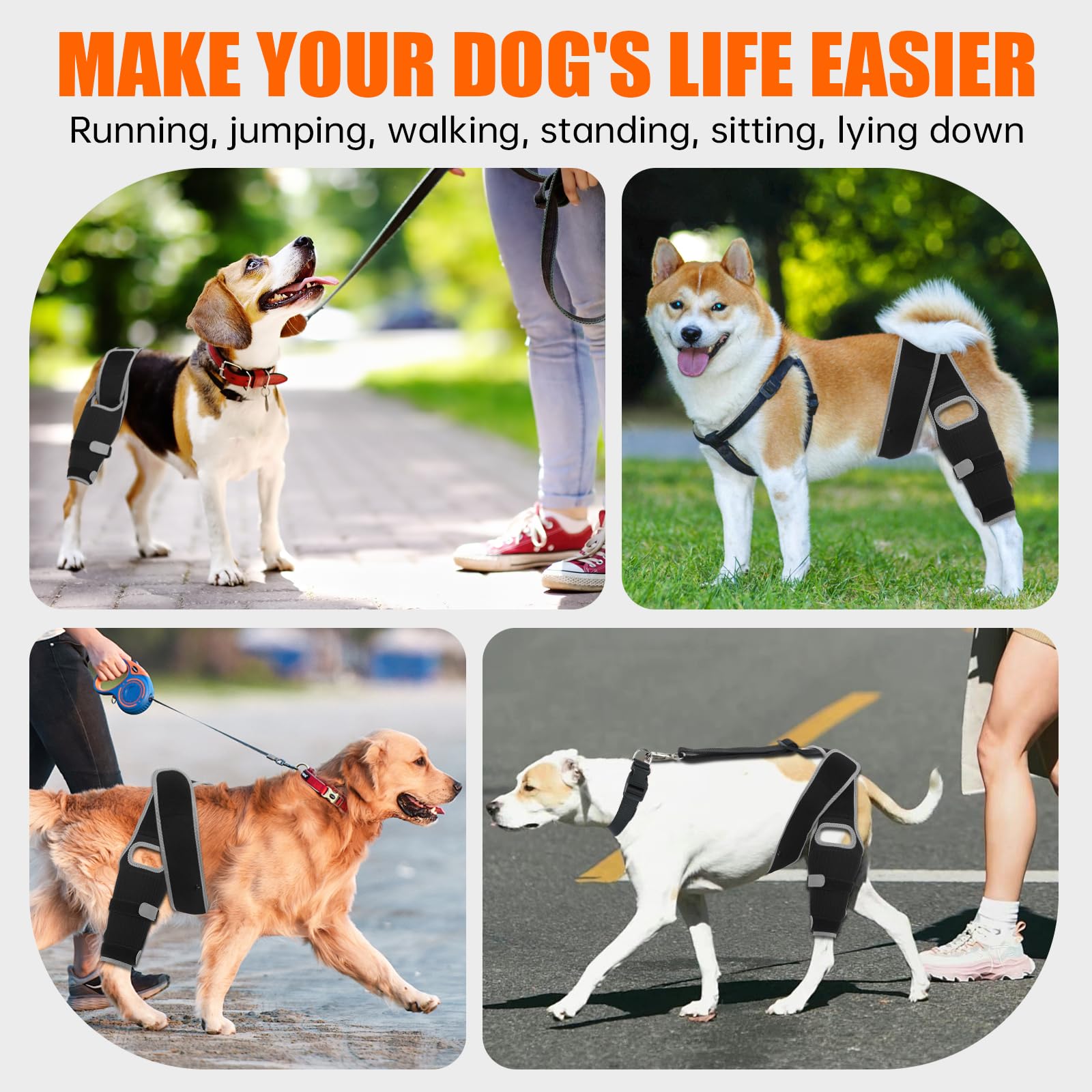 GRLEP dog knee brace on hind leg demonstrates supported movement during everyday activities