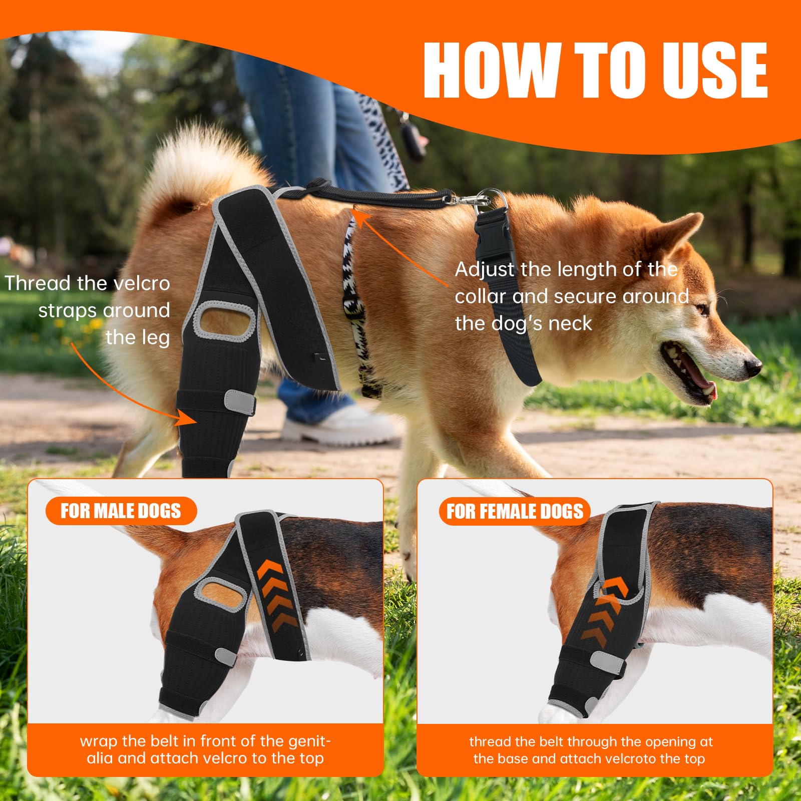 GRLEP size chart view helps choose the right small size for your dog