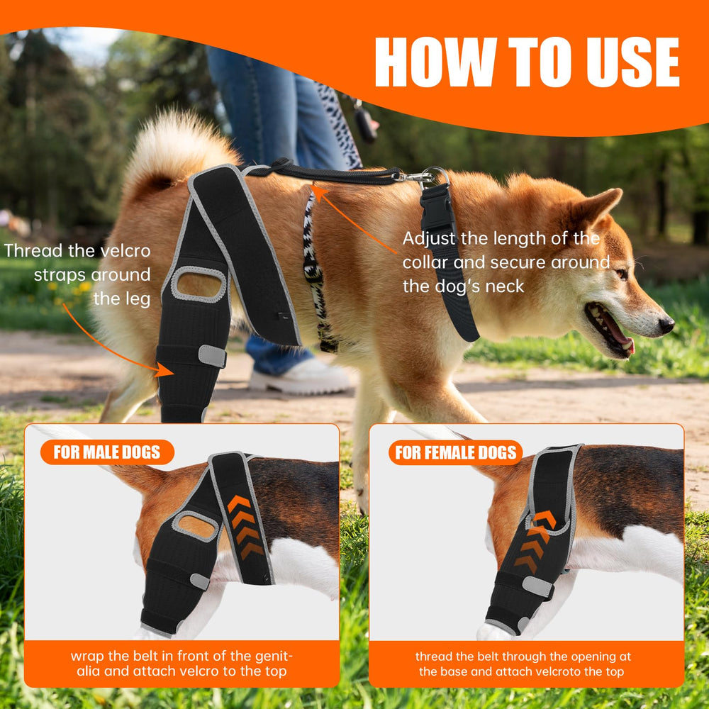 GRLEP size chart view helps choose the right small size for your dog