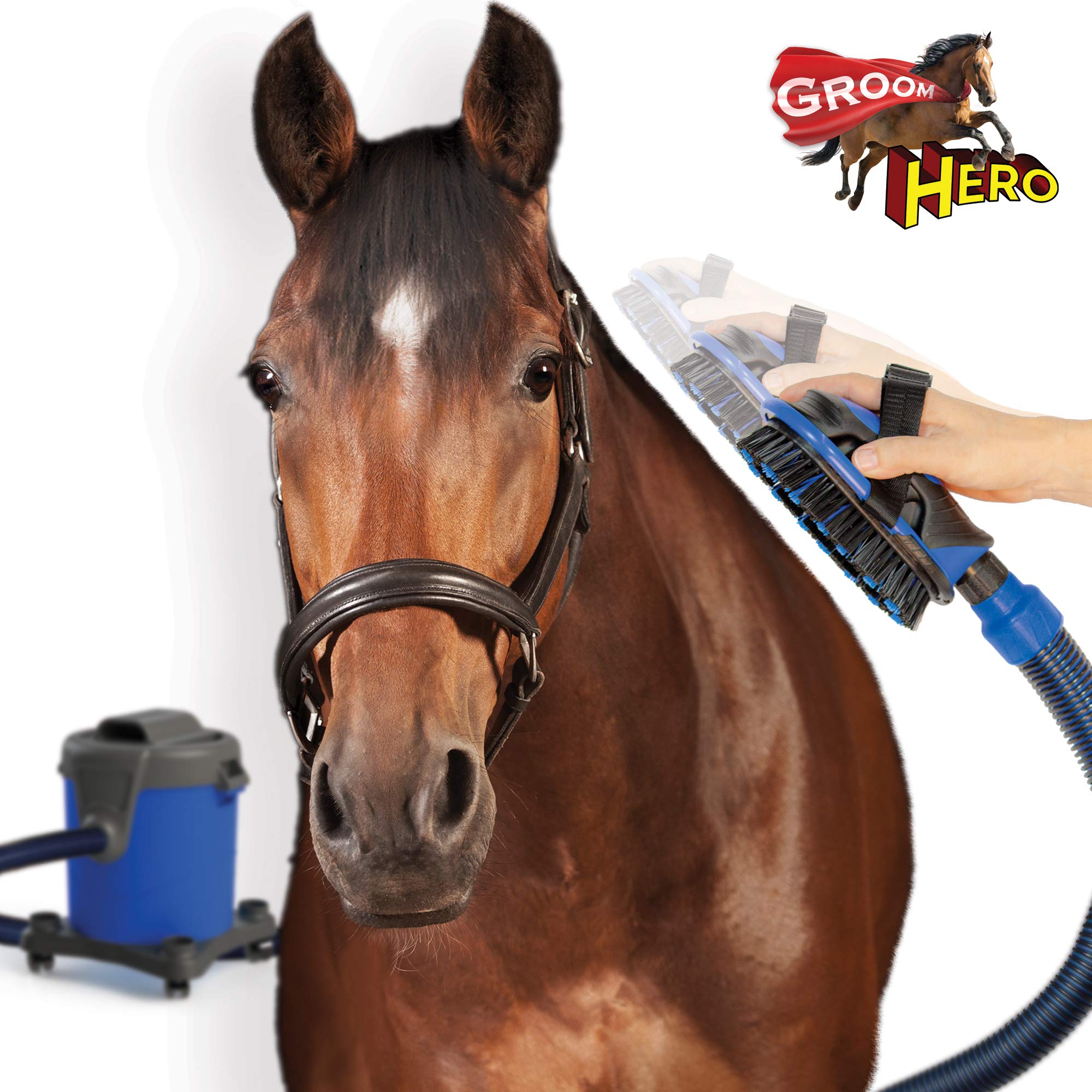 Groom Hero Bristle Brush insert ready to detangle coats and refresh upholstery with gentle cleaning.