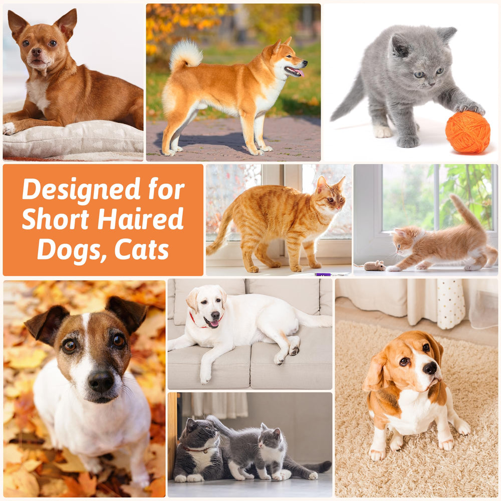GROOMAGE is versatile for dogs, cats, and small mammals