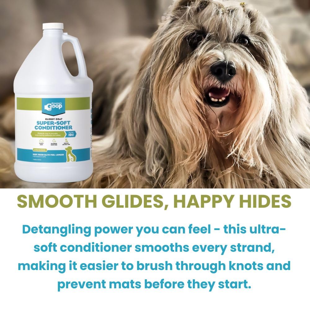 Groomer's GOOP Glossy Coat finish highlights natural shine and manageable coat texture.