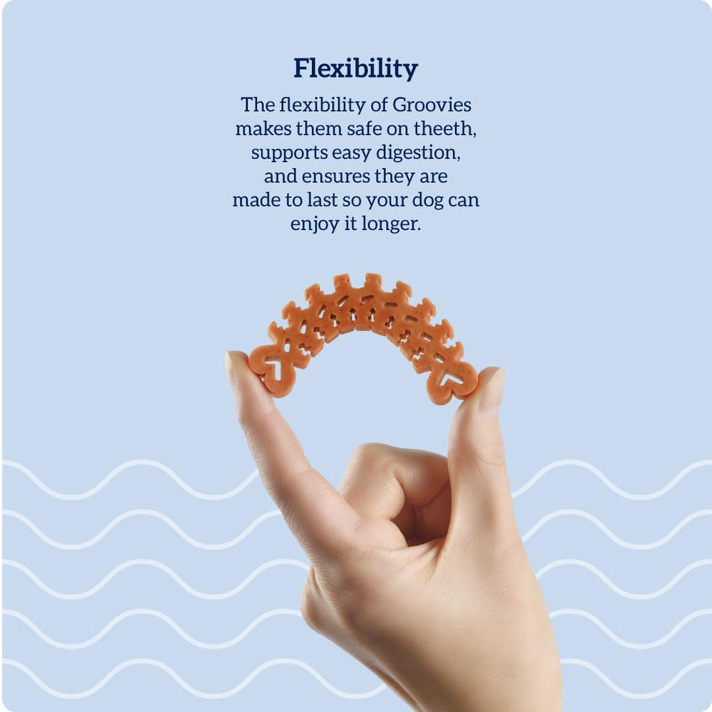 Groovies daily dog chew routine makes dental care easy and enjoyable