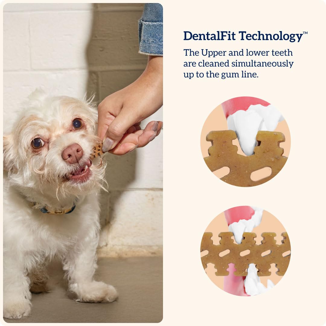 Groovies gluten-free dog chews show gluten-free formula for daily dental care.