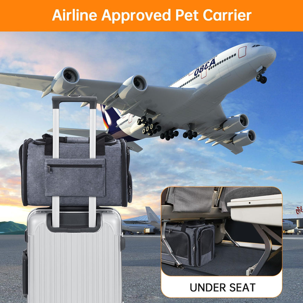 Groxkox cat carrier versatile for cats and small dogs during travel.