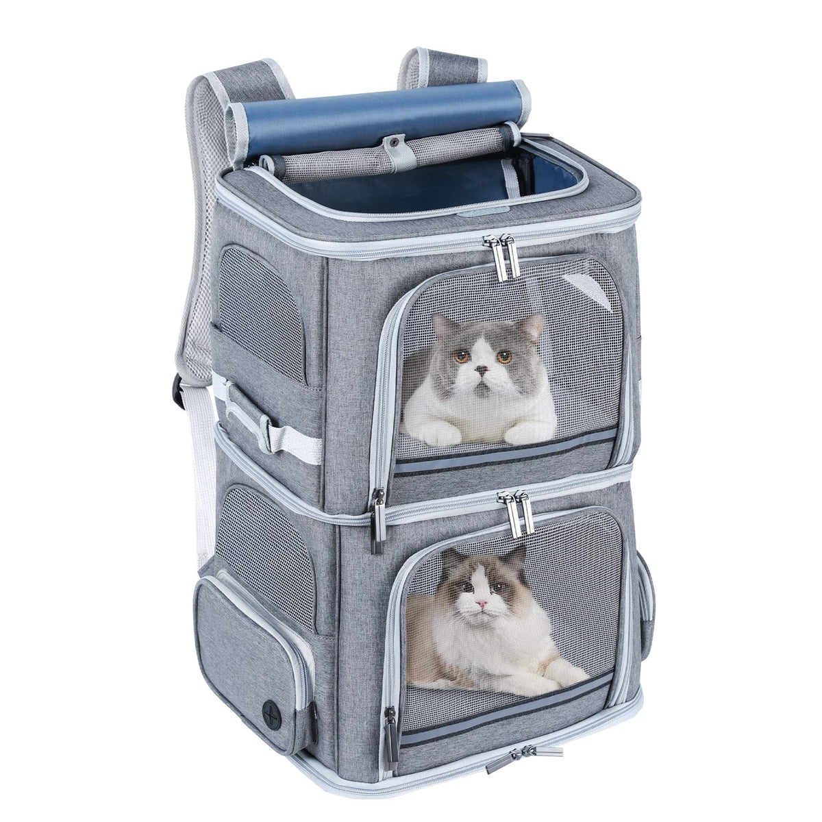 Groxkox Double Cat Carrier with dual compartments enables easy two-pet transport.