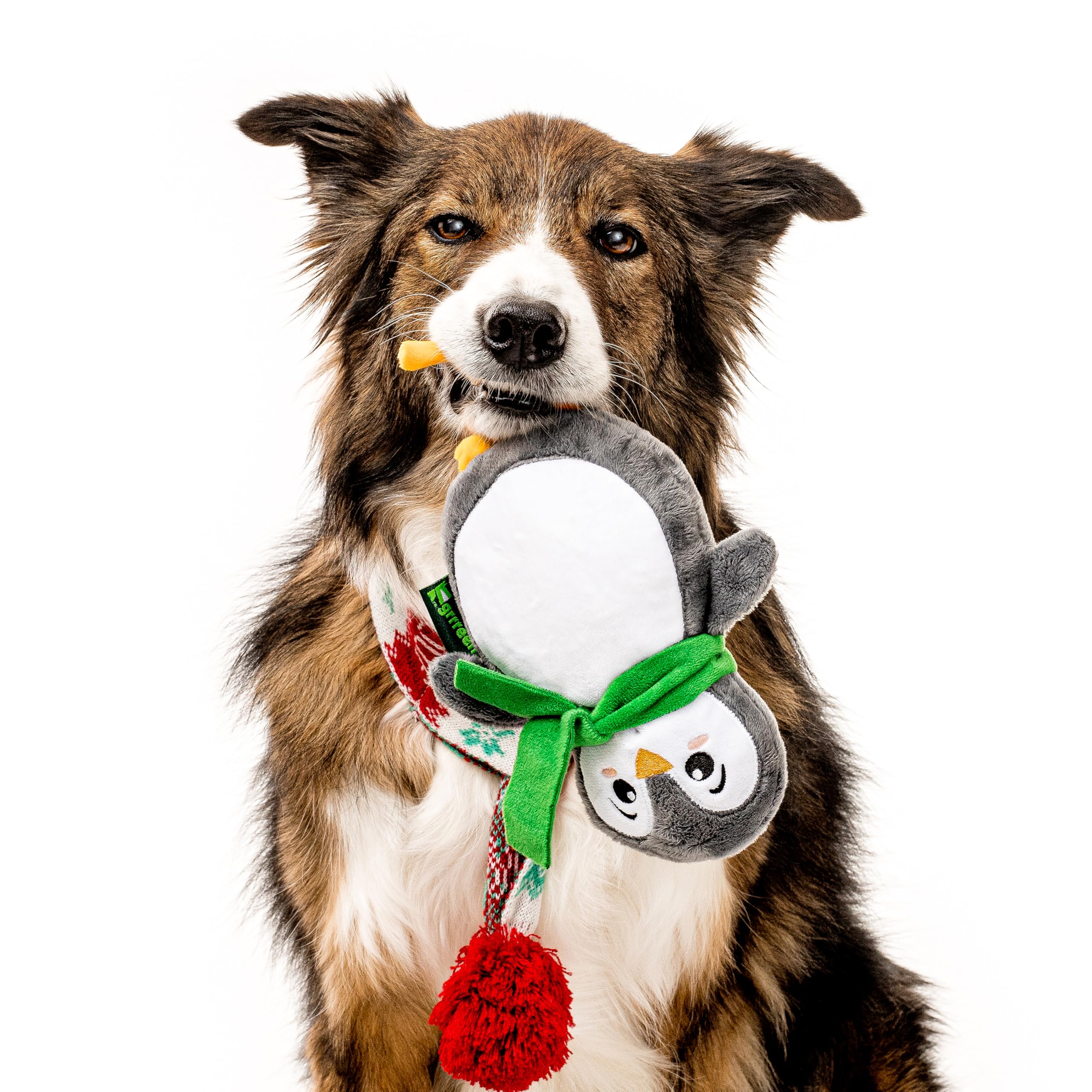 GRRREEN Winter Collection penguin medium — perfect for medium dogs 25-50 lbs during play.