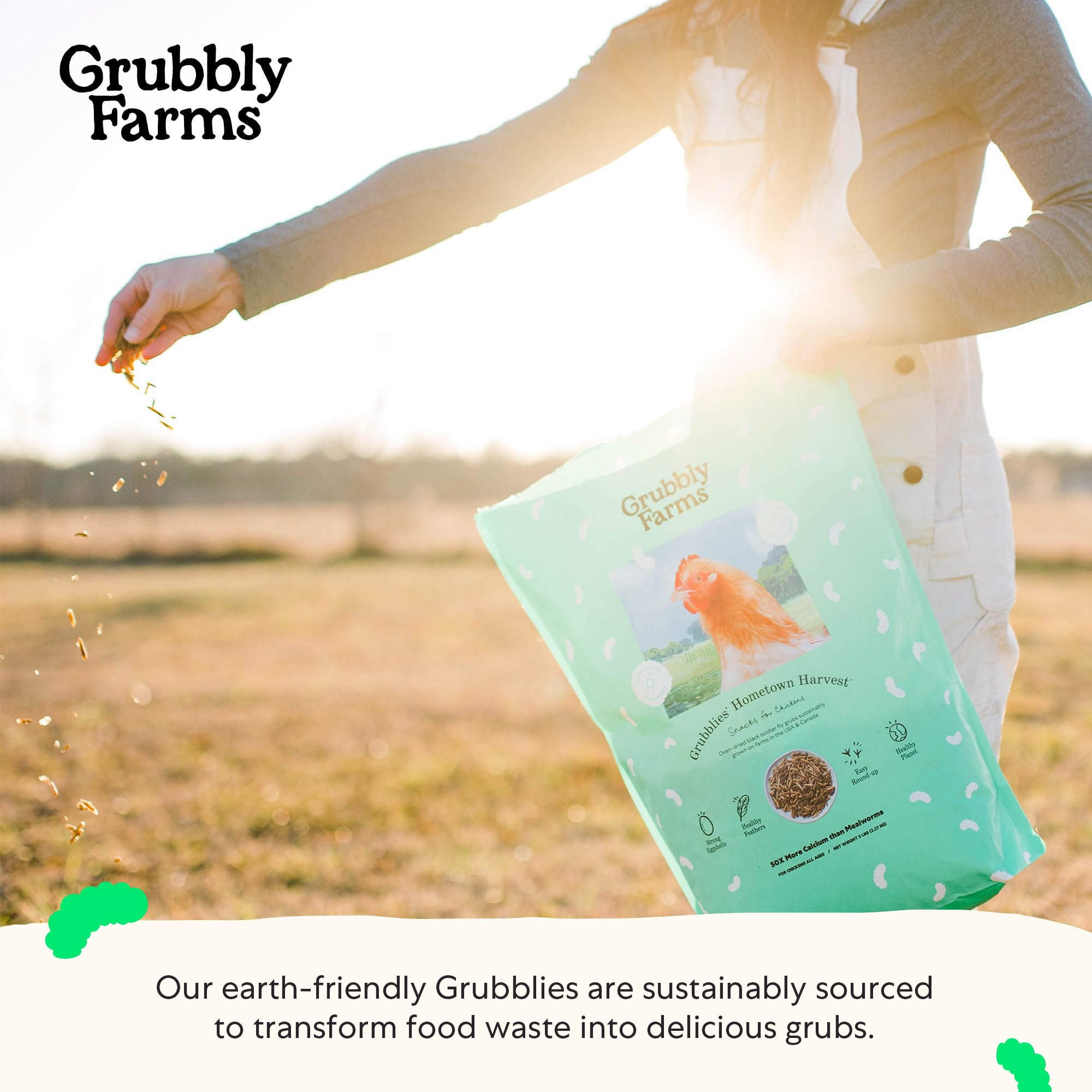 Grubblies egg-shells on container illustrate potential egg quality benefits.