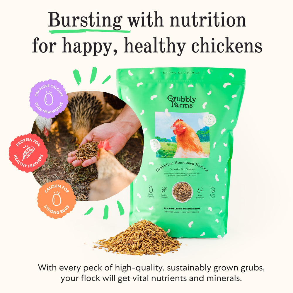 Grubblies foraging scene illustrate natural foraging and protein enrichment.