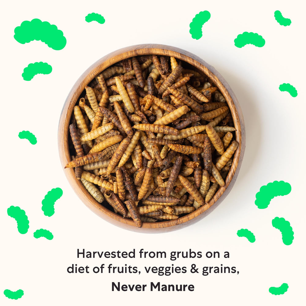 Grubblies oven-dried process close-up communicates quality control and nutrition.