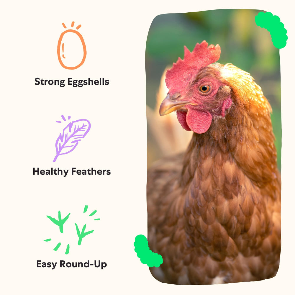 Grubblies US-Canada farms map emphasizes sustainable sourcing.