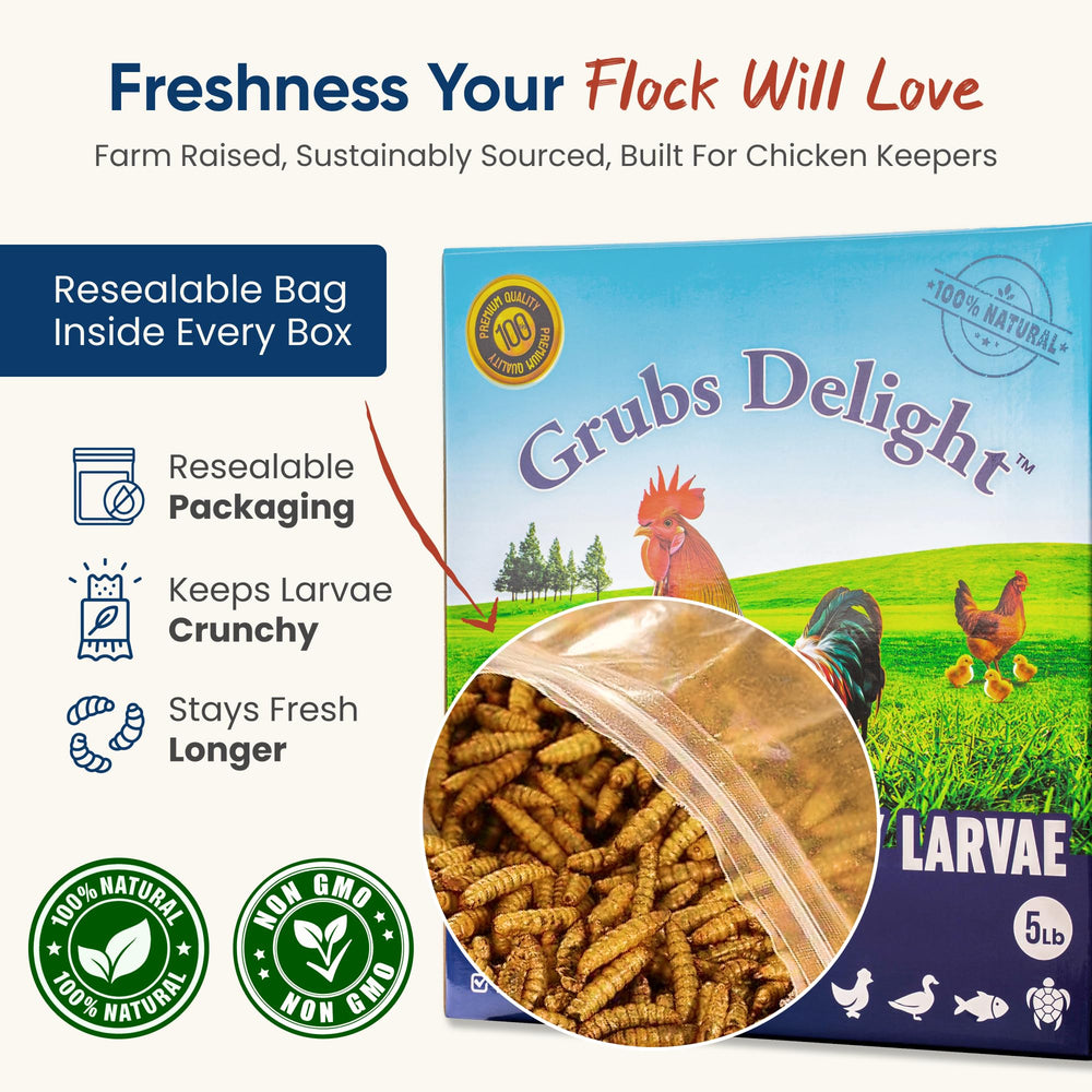 Grubs Delight supports strong shells and vibrant feathers in poultry.