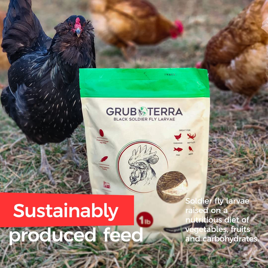 GrubTerra Golden Dried BSF Larvae bag open highlights resealable packaging