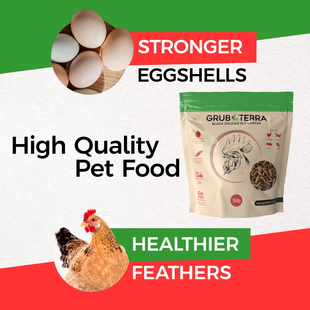 GrubTerra Golden Dried BSF Larvae in dish for easy feeding