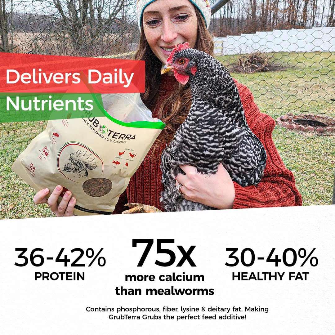 GrubTerra Golden Dried BSF Larvae support healthier feathers and energy