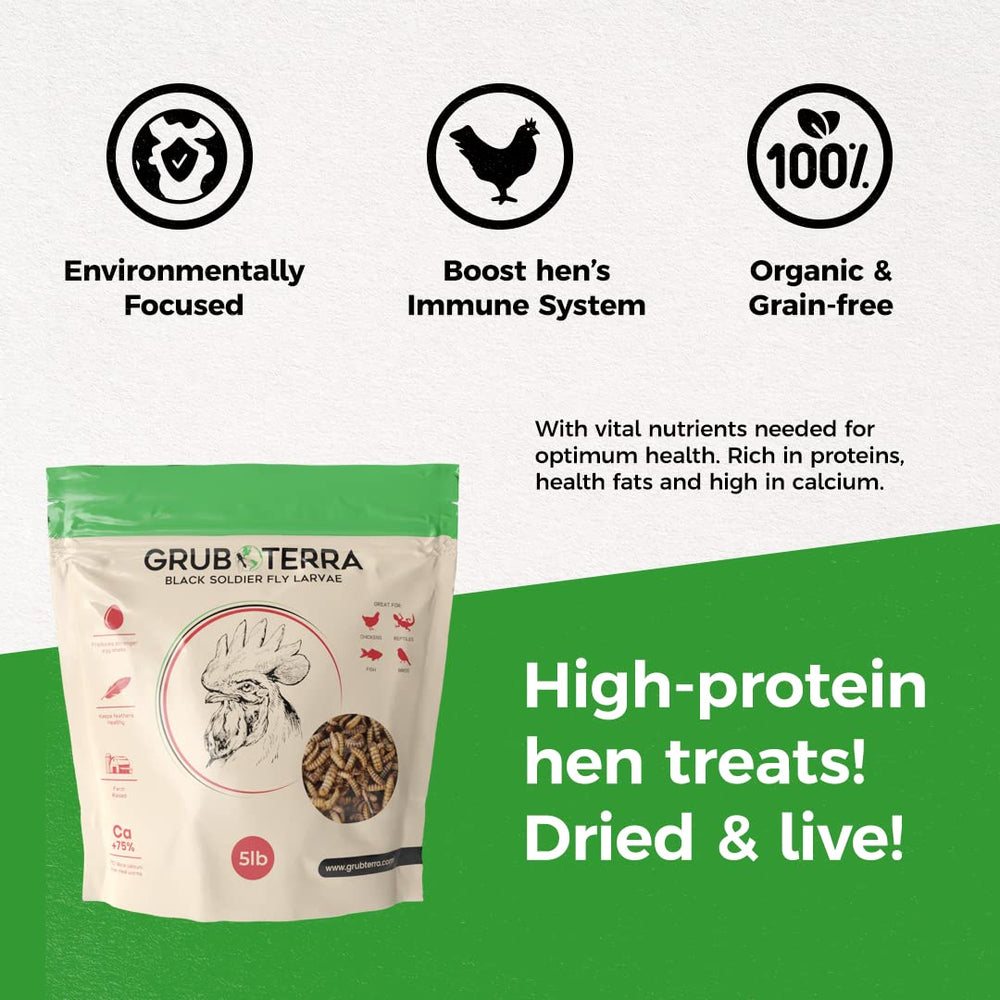 GrubTerra Golden Dried BSF Larvae sprinkled on ground for quick feeding