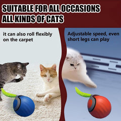 GSHLGAO Bola Interactiva Gato en Interior facilita juego activo diario.