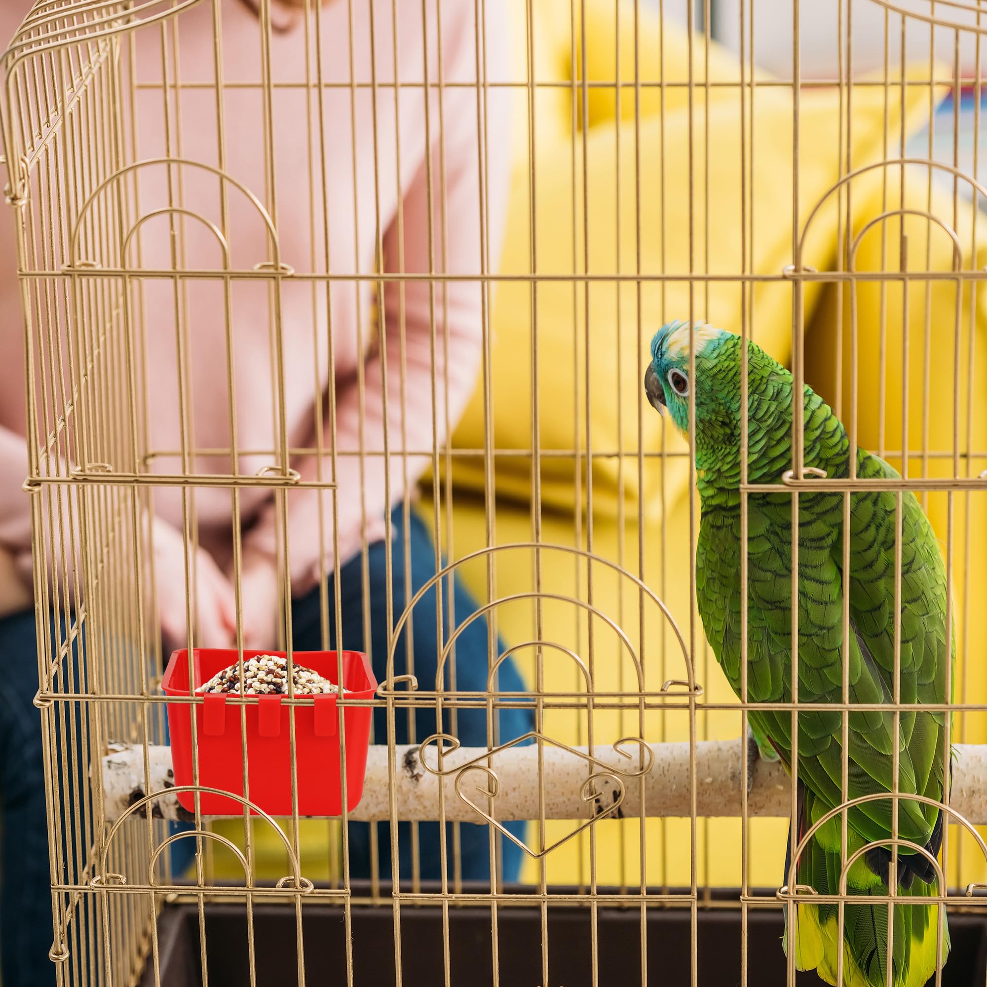 GSHYMXT parrot cage cup, red, safe edges
