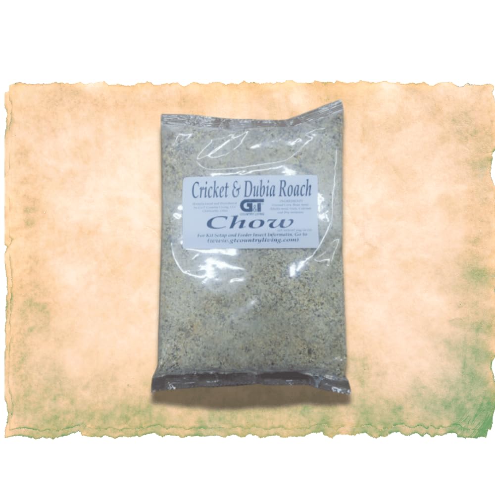 G&T Country Living Bearded dragon feeder setup supports easy feeding routines.