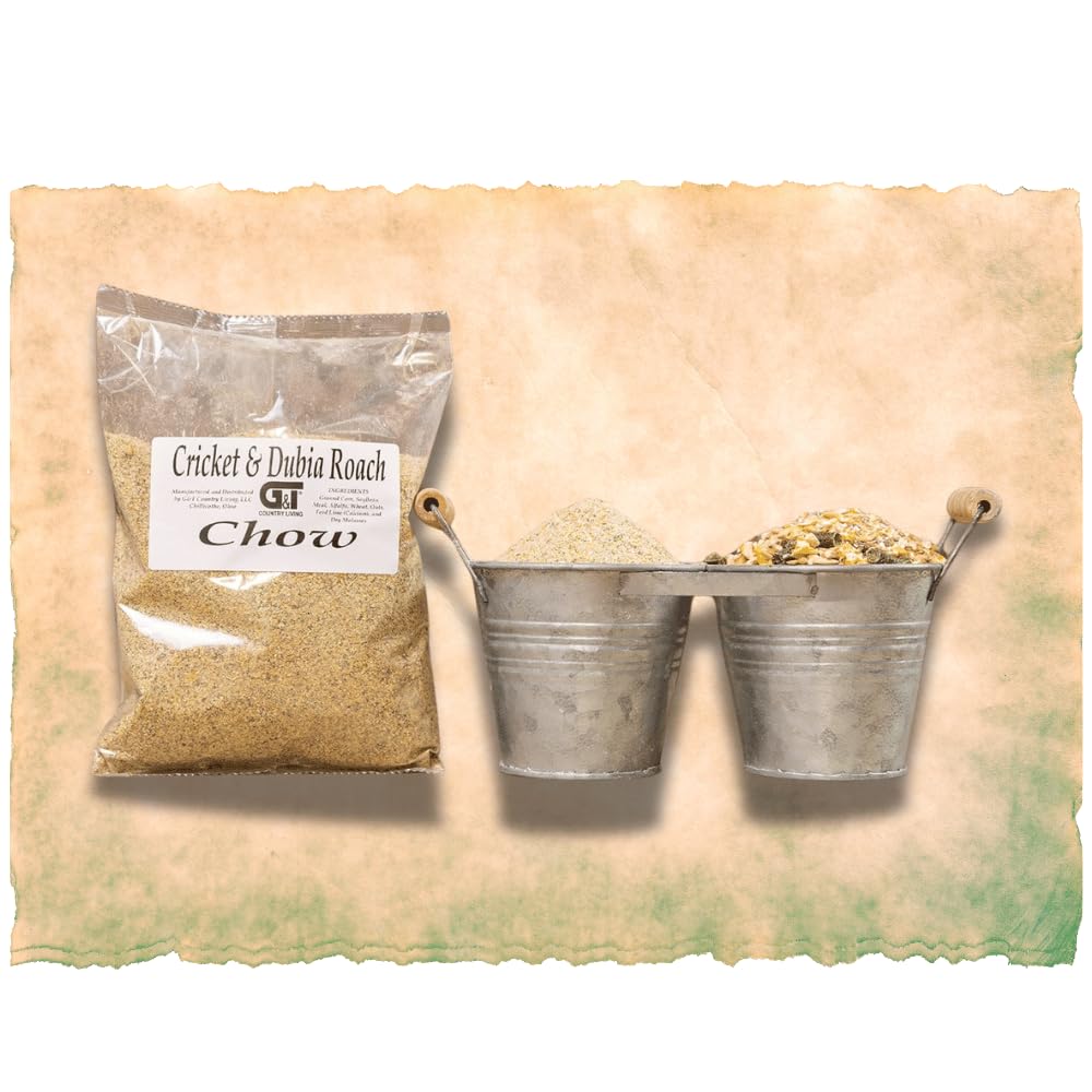 G&T Country Living chameleon-friendly feeder colony for stable insect supply.